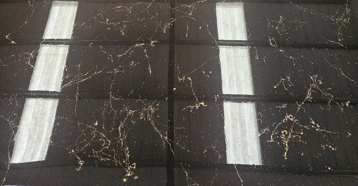 Dark marble surface with light veins and rectangular white accents.